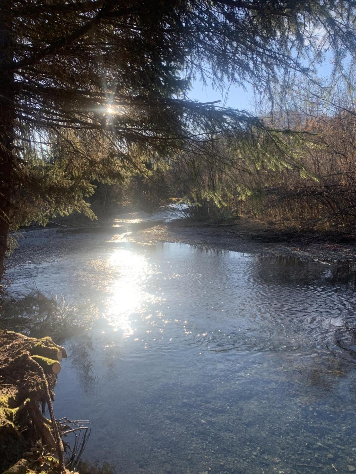 スワード Bear Bottoms At Salmon Creekヴィラ エクステリア 写真